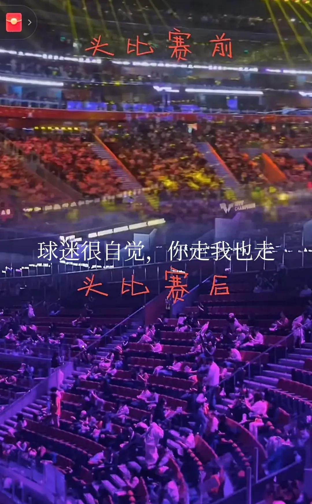 B体育体育在线-体育赛场上的盛大狂欢，观众沸腾不已